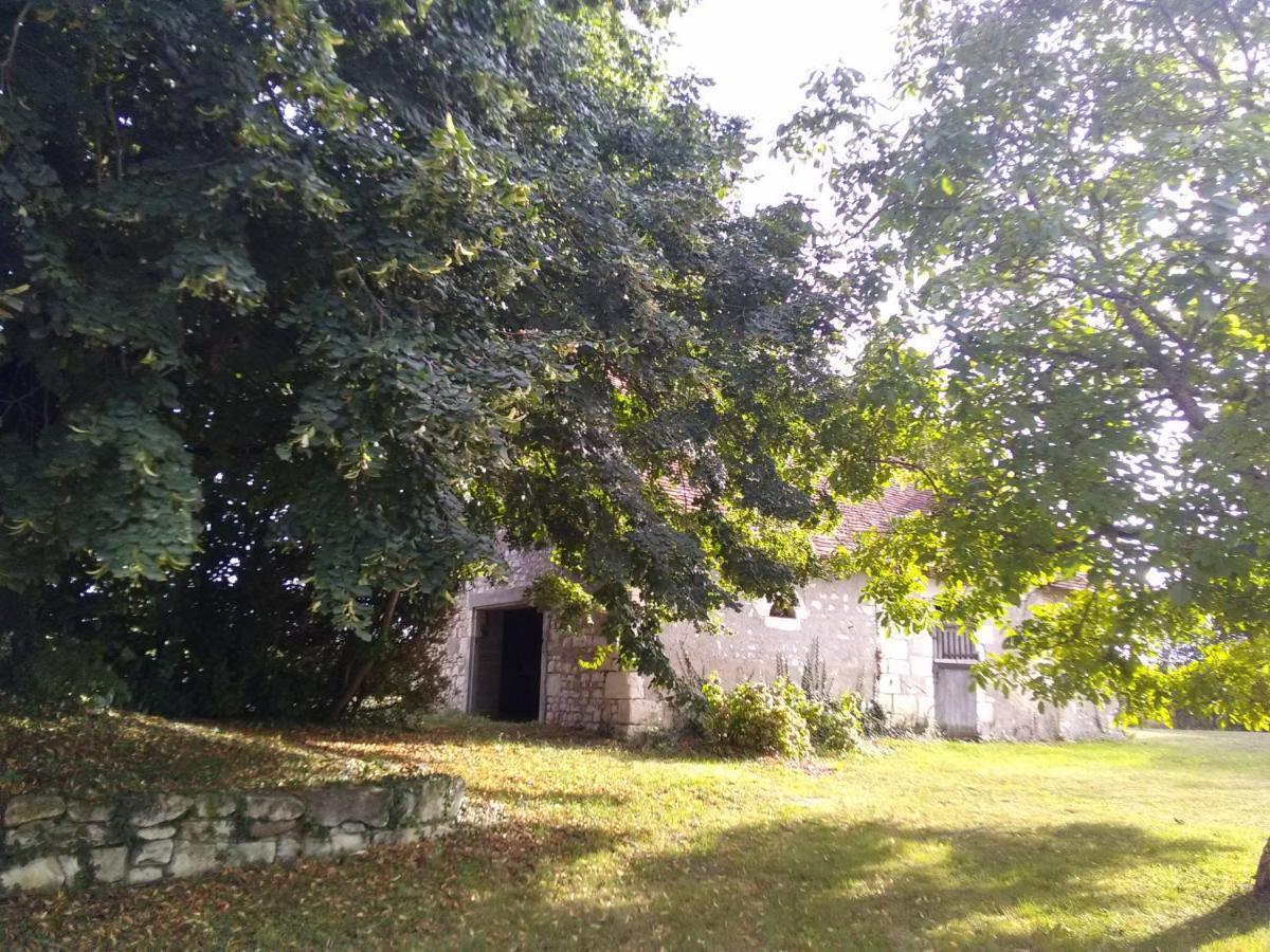 La BerryCurienne proche du Zoo de Beauval Saint-Aignan avec SDB, WC ET SPA PRIVATIF pour chaque chambre Luçay-le-Mâle Extérieur photo
