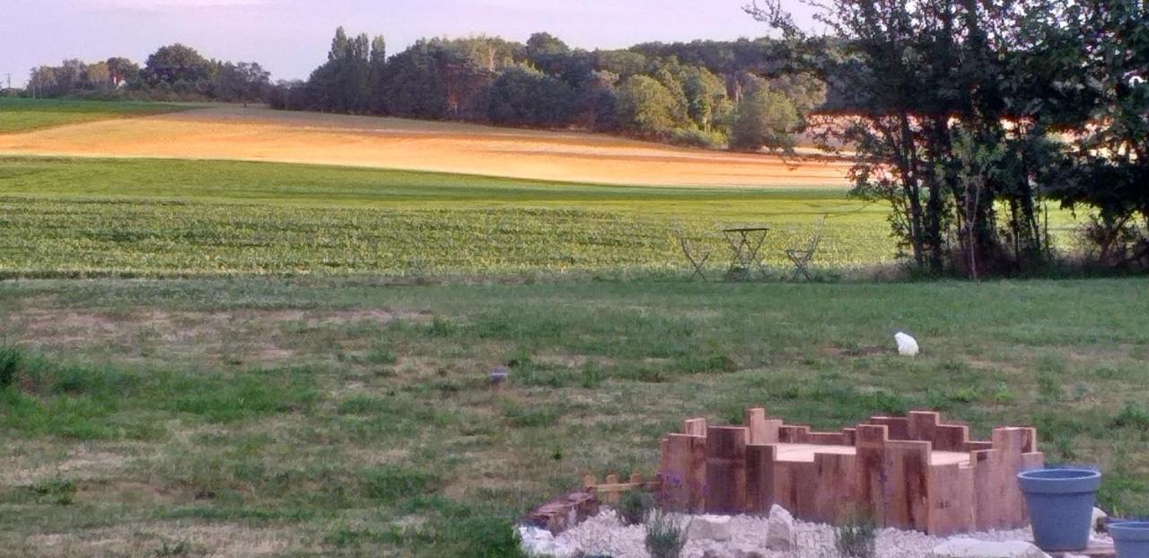 La BerryCurienne proche du Zoo de Beauval Saint-Aignan avec SDB, WC ET SPA PRIVATIF pour chaque chambre Luçay-le-Mâle Extérieur photo